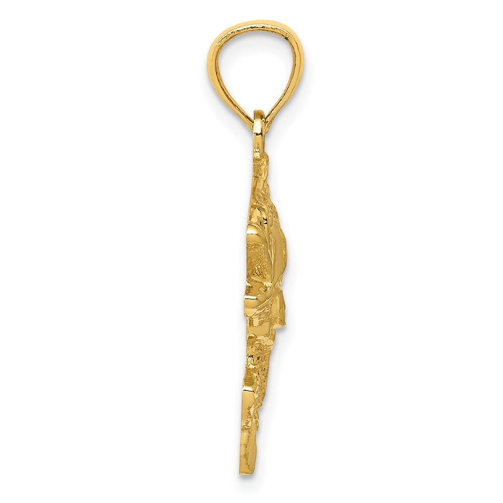 14k Gold Polished Textured Bass Pendant 2