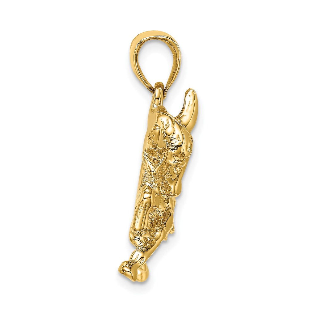 14K Polished Raging Bull with Horns Charm