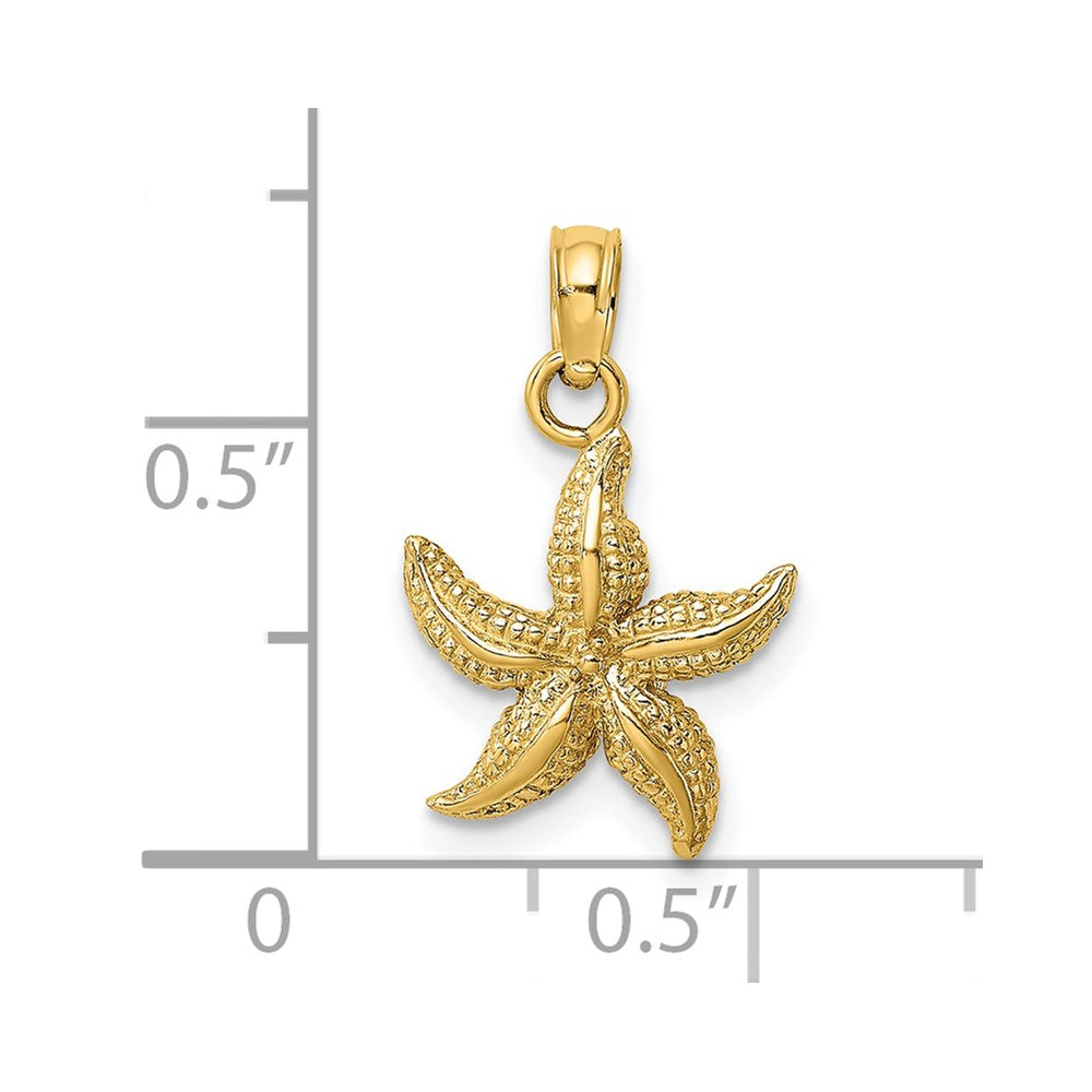 14K Textured Starfish Charm 3