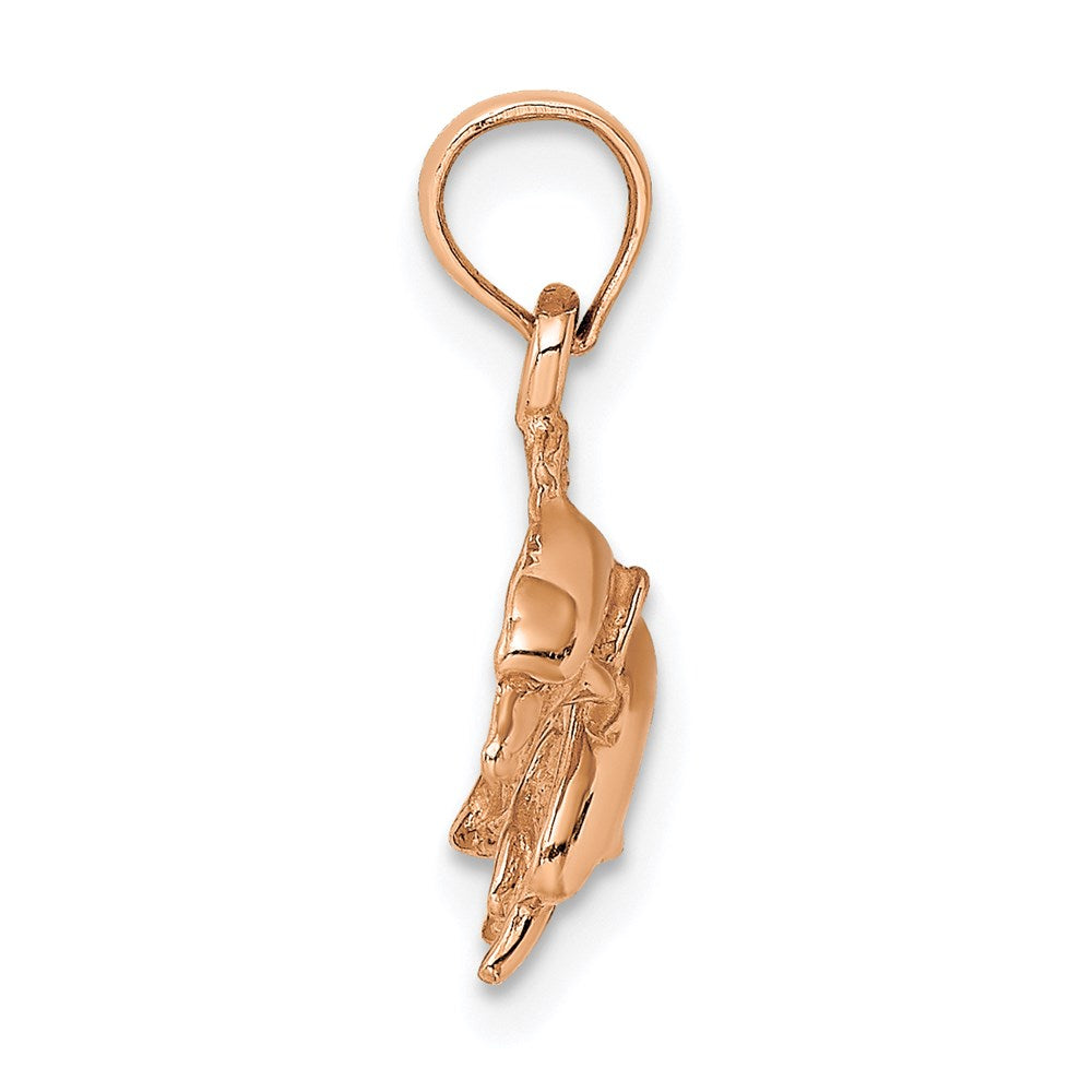 14K Rose Gold Polished Double Dolphins Jumping Left Charm 2