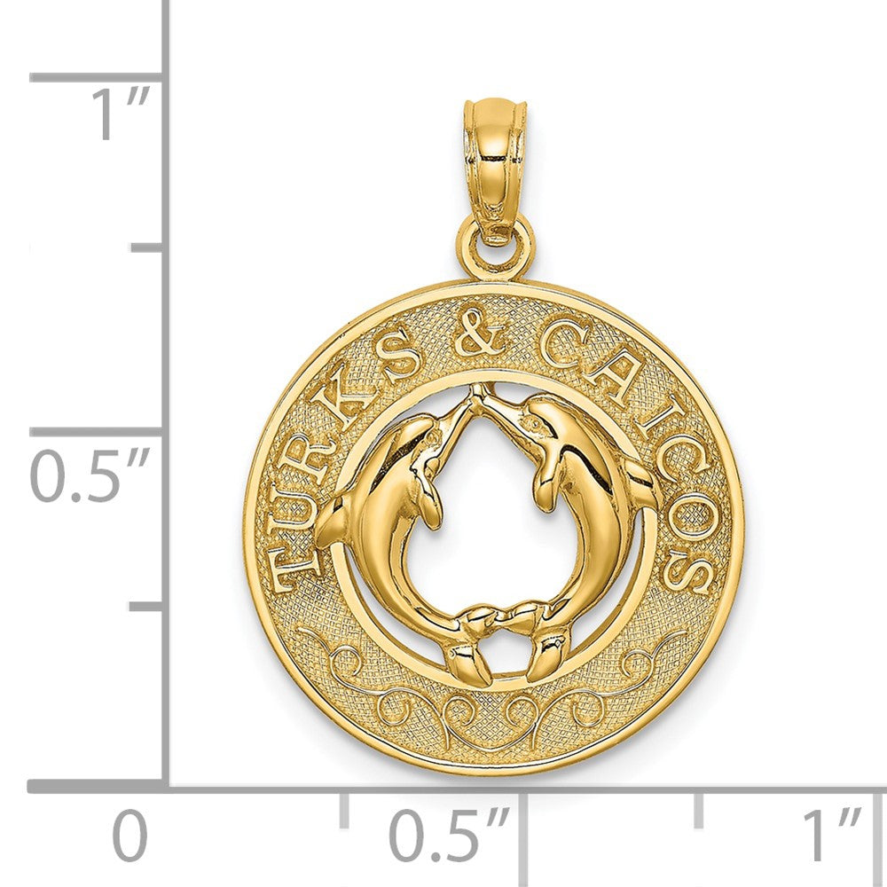 14K TURKS AND CAICOS w/ Dolphins Circle Charm 3