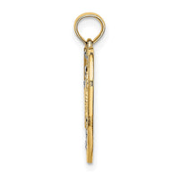 14k w/Rhodium Diamond-cut DREAM  Heart with Stars Charm