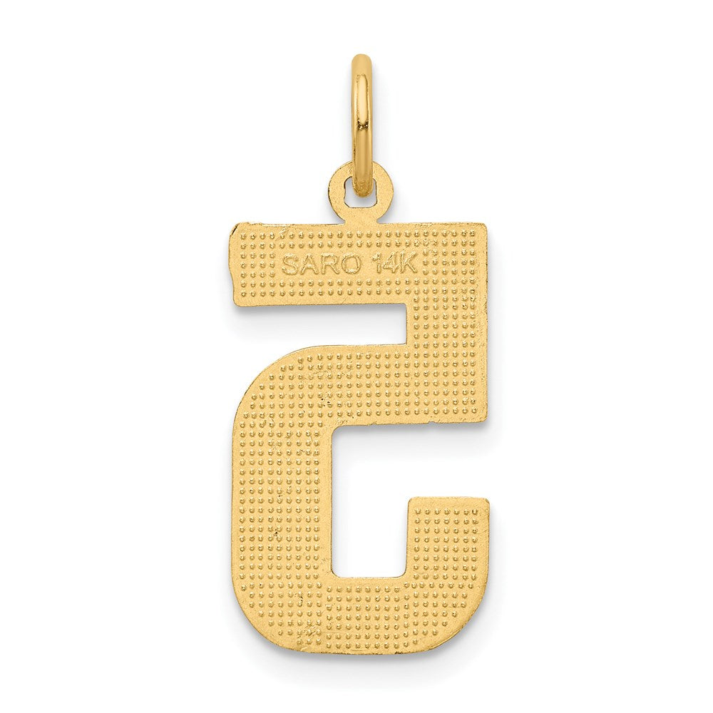 14k Large Brushed Diamond-cut Number 5 Charm