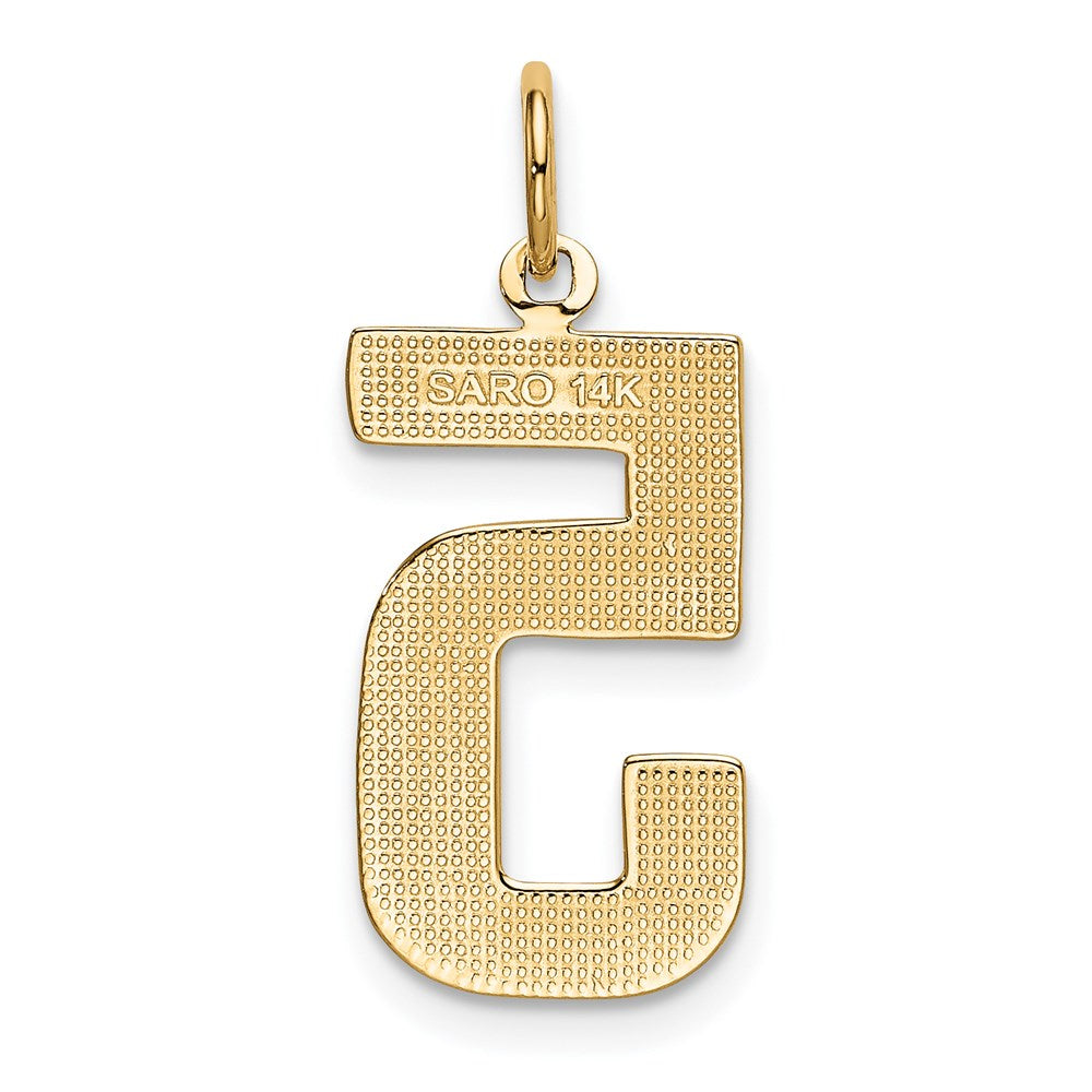 14k  Large Polished Number 5 Charm