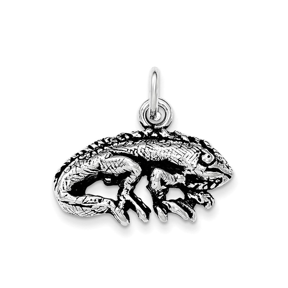 Sterling Silver Antiqued & Textured Iguana Pendant