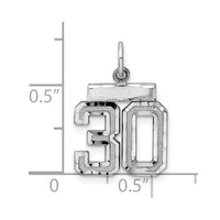 Sterling Silver Rhodium-plated Diamond-cut #30 Charm