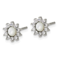 Stainless Steel Polished Mother of Pearl and CZ Earrings
