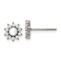 Stainless Steel Polished Mother of Pearl and CZ Earrings