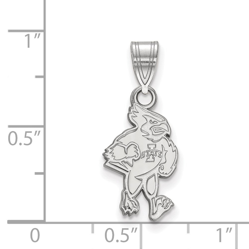 14kw  Iowa State University Medium Pendant