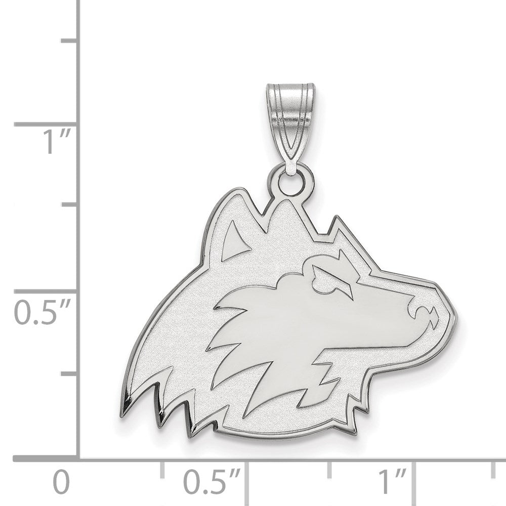 14kw  Northern Illinois University Large Pendant