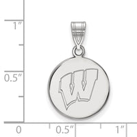 14kw  University of Wisconsin Medium Disc Pendant
