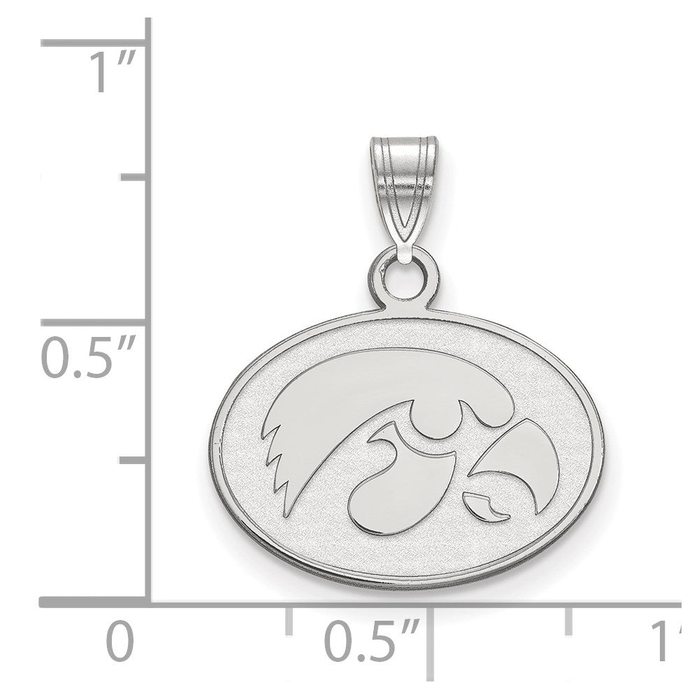 14kw  University of Iowa Small Pendant
