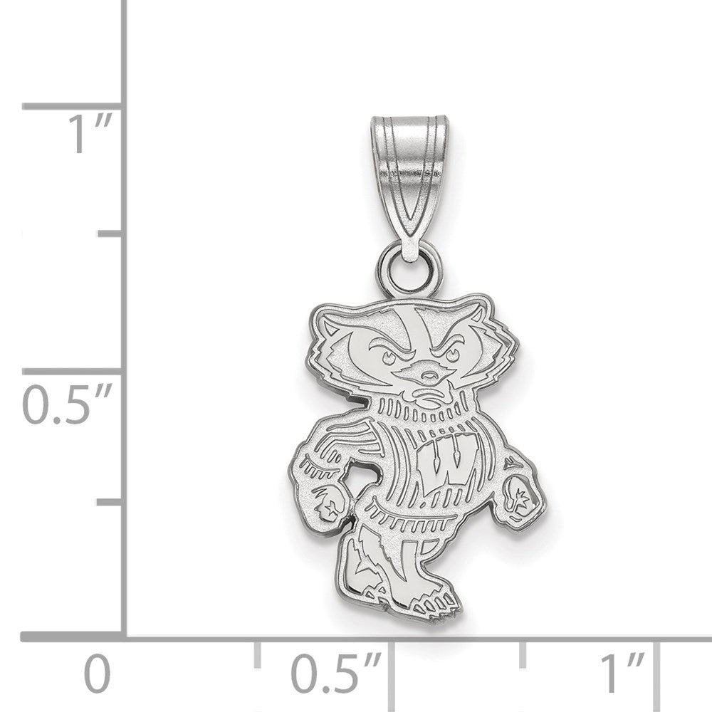 14kw  University of Wisconsin Medium Pendant
