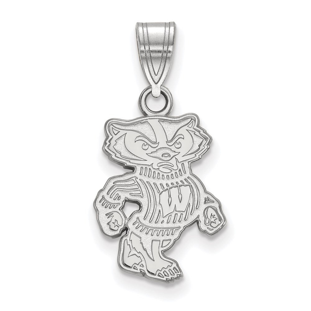 14kw  University of Wisconsin Medium Pendant