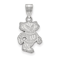 14kw  University of Wisconsin Medium Pendant