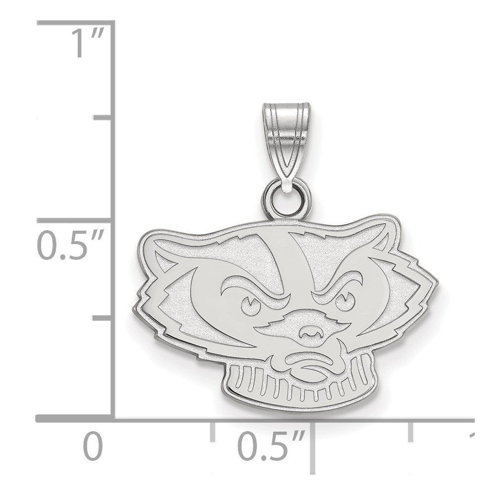 14kw  University of Wisconsin Small Pendant