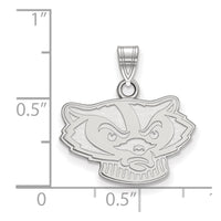 14kw  University of Wisconsin Small Pendant