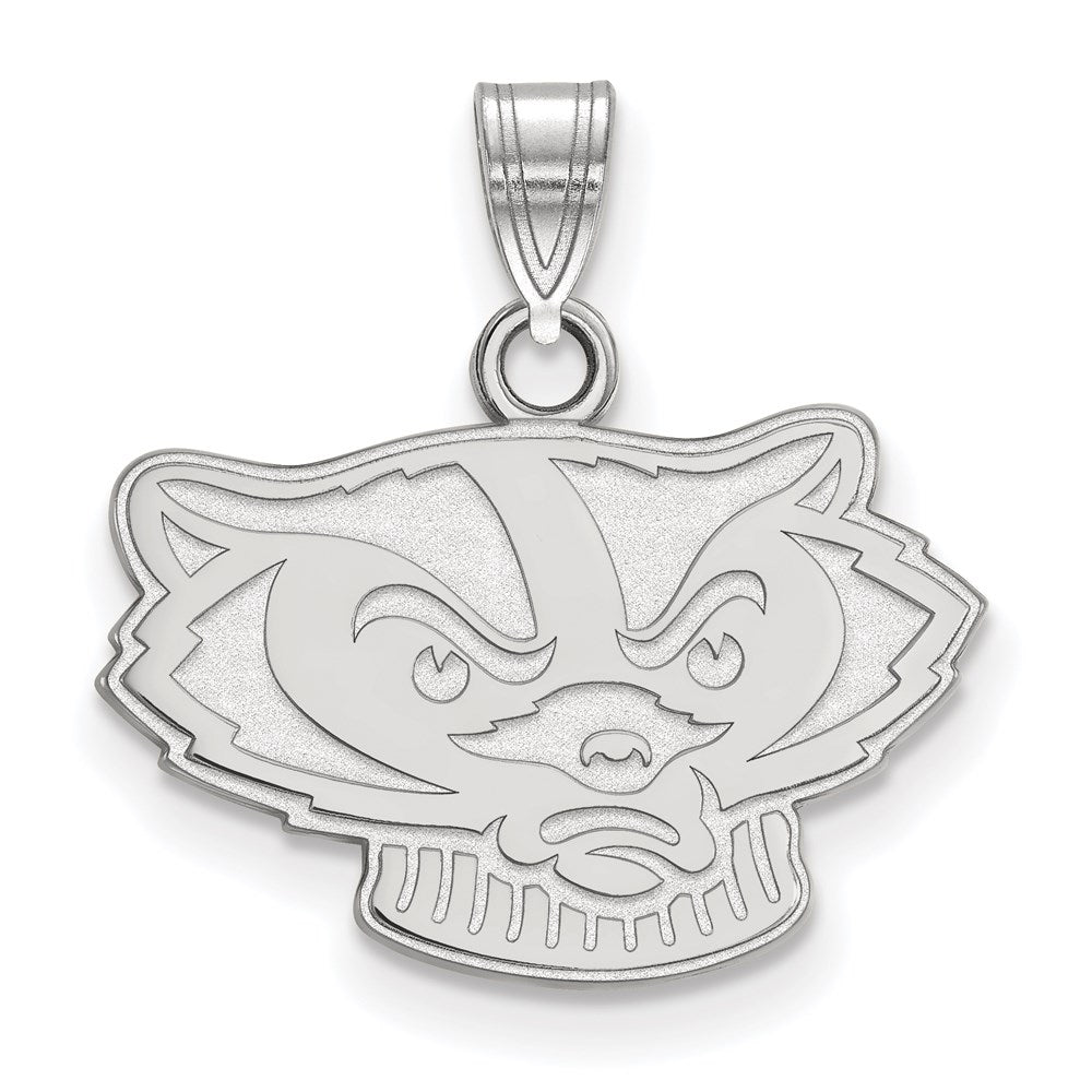 14kw  University of Wisconsin Small Pendant