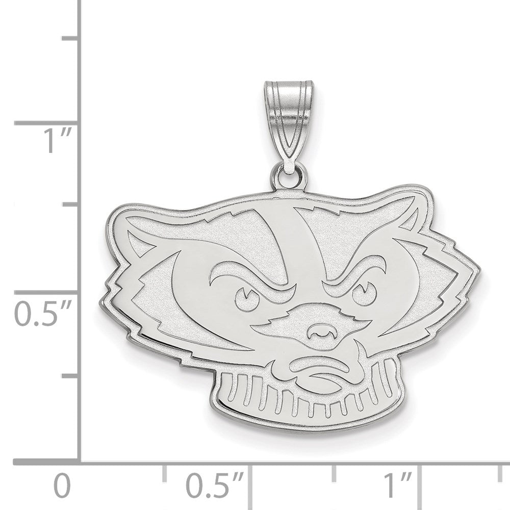 14kw  University of Wisconsin Large Pendant