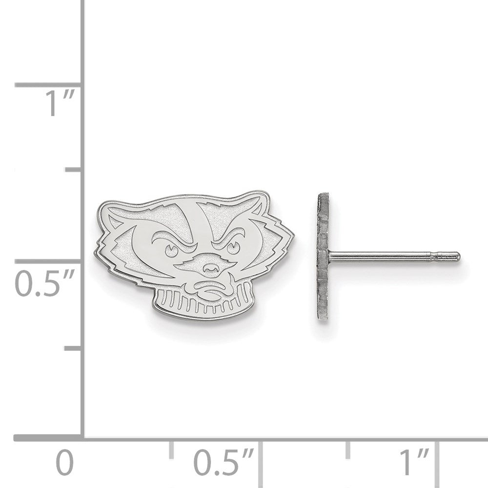 14kw  University of Wisconsin Xs Post Earrings