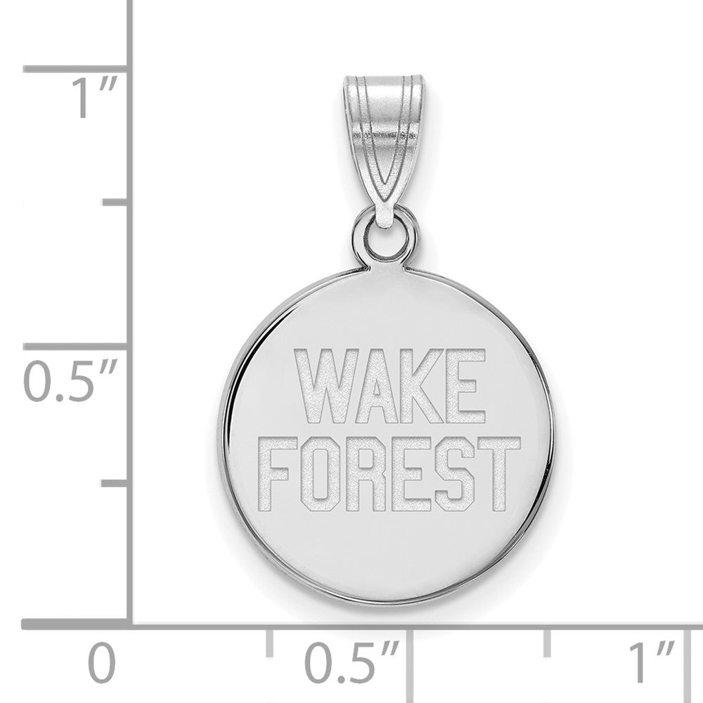 14kw  Wake Forest University Medium Disc Pendant