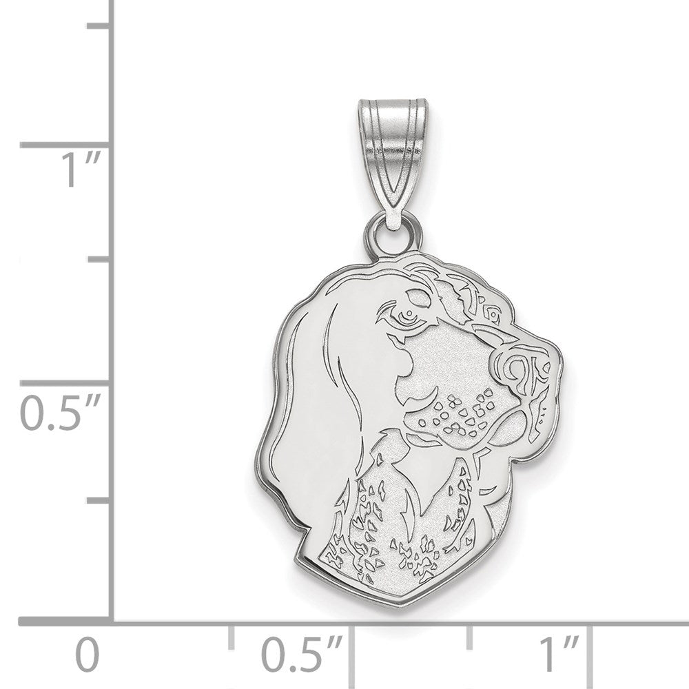 14kw  University of Tennessee Large Pendant