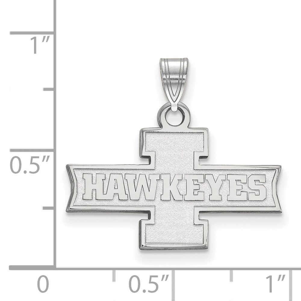 14kw  University of Iowa Small Pendant