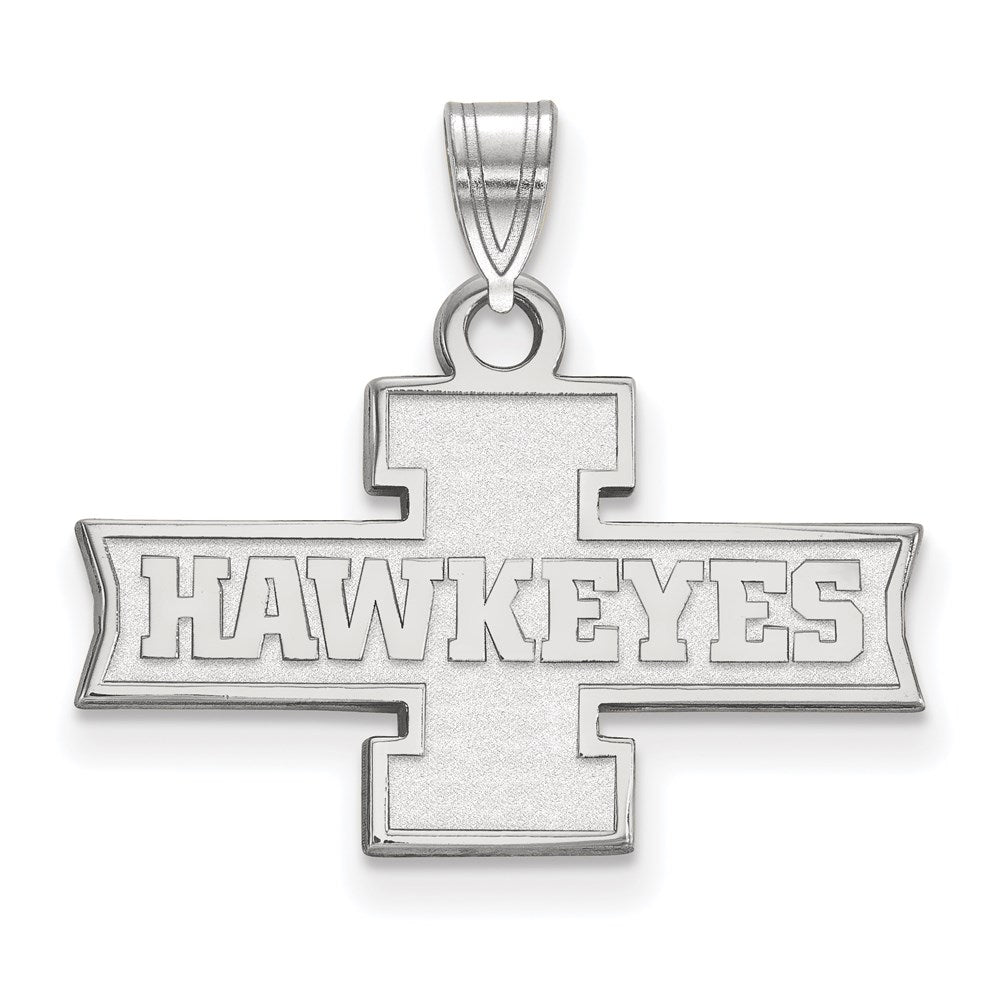 14kw  University of Iowa Small Pendant