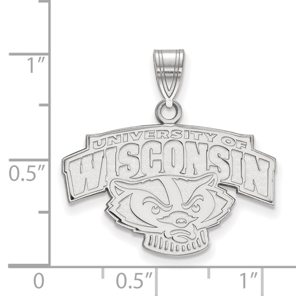 14kw  University of Wisconsin Medium Pendant