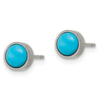 Titanium Brushed Turquoise 6mm Stud Earrings