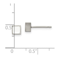 Titanium Brushed with White Enamel Square Post Earrings