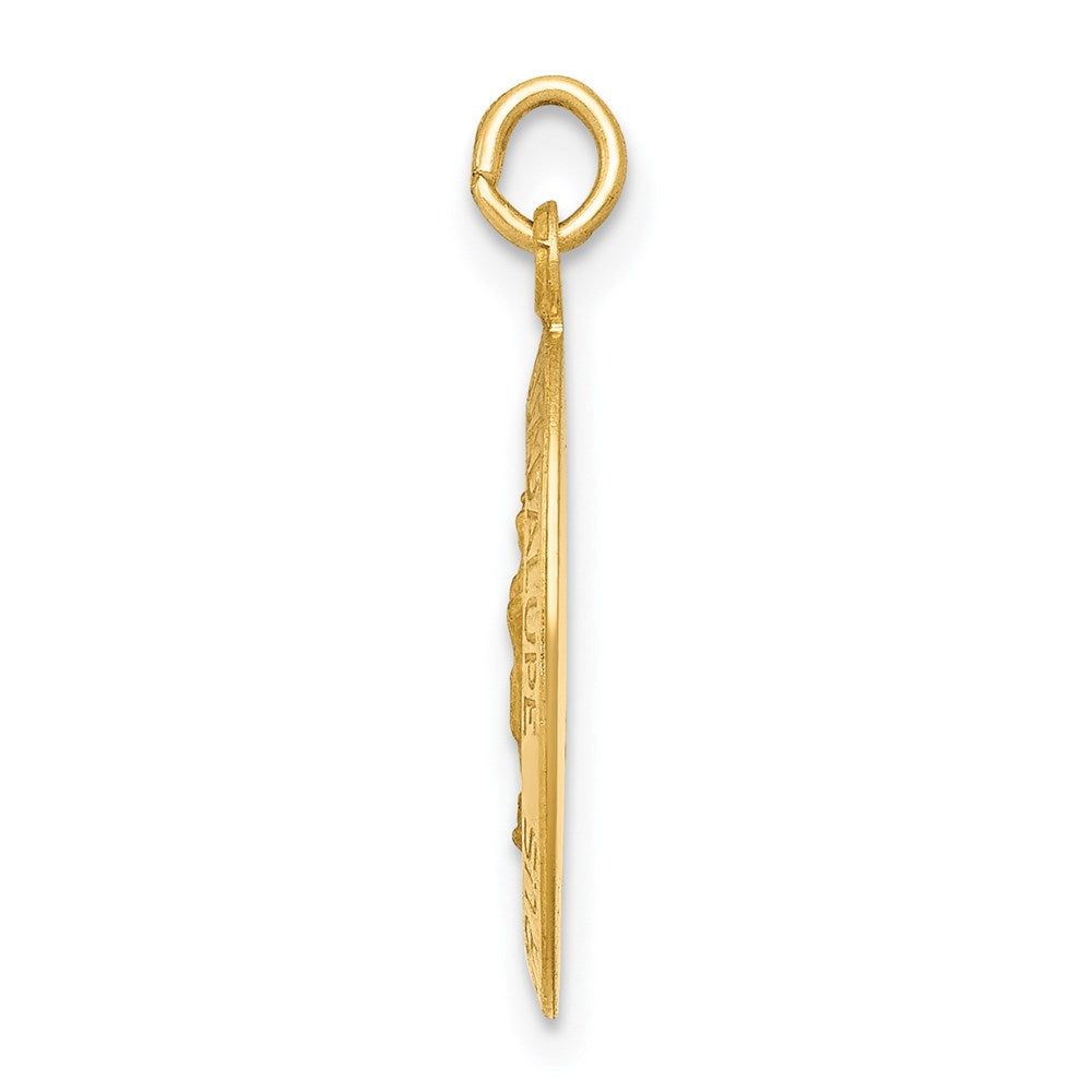 14k Yellow Gold Polished and Satin Our Lady of Guadalupe Medal Pendant ...